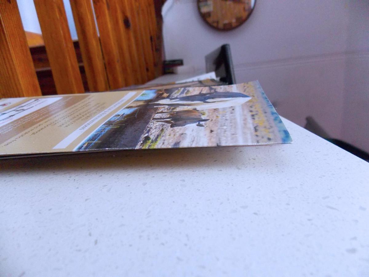 Trap Houz Backpackers Hostel Cape Town Ngoại thất bức ảnh